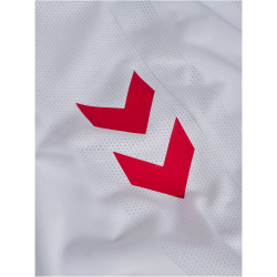 hummel DBU Dänemark Heimshorts 2026