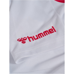 hummel DBU Dänemark Heimshorts 2026