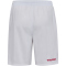 hummel DBU Dänemark Heimshorts 2026