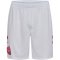 hummel DBU Dänemark Heimshorts 2026
