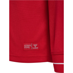 hummel DBU Dänemark langarm Heimtrikot 2026 Kinder