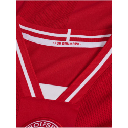 hummel DBU Dänemark langarm Heimtrikot 2026