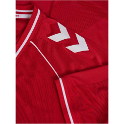 hummel DBU Dänemark Heimtrikot 2026