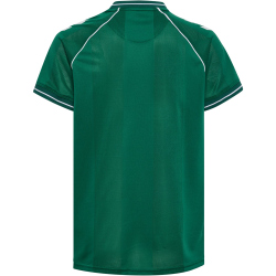hummel DBU Dänemark kurzarm Torwarttrikot 2026...