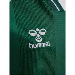 hummel DBU Dänemark kurzarm Torwarttrikot 2026...