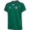 hummel DBU Dänemark kurzarm Torwarttrikot 2026 Kinder 6140 - evergreen 140