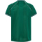hummel DBU Dänemark kurzarm Torwarttrikot 2026 Kinder 6140 - evergreen 140