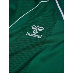 hummel DBU Dänemark kurzarm Torwarttrikot 2026 6140...