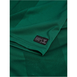 hummel DBU Dänemark kurzarm Torwarttrikot 2026 6140...