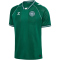hummel DBU Dänemark kurzarm Torwarttrikot 2026 6140 - evergreen S