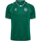 hummel DBU Dänemark kurzarm Torwarttrikot 2026 6140 - evergreen S