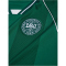 hummel DBU Dänemark kurzarm Torwarttrikot 2026 6140 - evergreen S