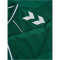hummel DBU Dänemark kurzarm Torwarttrikot 2026 6140 - evergreen S