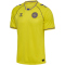 hummel DBU Dänemark kurzarm Torwarttrikot 2026 5269 - blazing yellow S