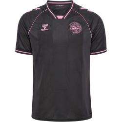 hummel DBU Dänemark kurzarm Torwarttrikot 2026 1525...