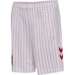 hummel DBU Dänemark Auswärtsshorts 2026 Kinder...