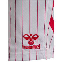 hummel DBU Dänemark Auswärtsshorts 2026 Kinder...