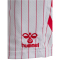 hummel DBU Dänemark Auswärtsshorts 2026 Kinder 9001 - white 140