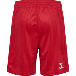 hummel DBU Dänemark Auswärtsshorts 2026 Kinder...