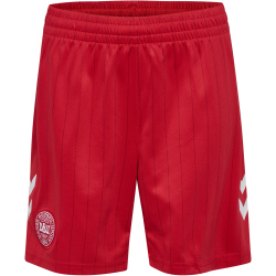 hummel DBU Dänemark Auswärtsshorts 2026 Kinder...