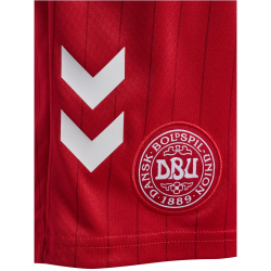 hummel DBU Dänemark Auswärtsshorts 2026 Kinder...