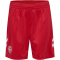hummel DBU Dänemark Auswärtsshorts 2026 Kinder 3365 - tango red 140