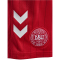 hummel DBU Dänemark Auswärtsshorts 2026 Kinder 3365 - tango red 140