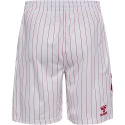 hummel DBU Dänemark Auswärtsshorts 2026 9001 -...