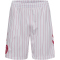 hummel DBU Dänemark Auswärtsshorts 2026 9001 - white S