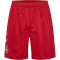 hummel DBU Dänemark Auswärtsshorts 2026 3365 - tango red S
