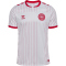 hummel DBU Dänemark Auswärtstrikot 2026 9001 - white S