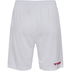 hummel DBU Dänemark Heimshorts 2026 Kinder 9001 -...