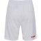 hummel DBU Dänemark Heimshorts 2026 Kinder 9001 - white 140