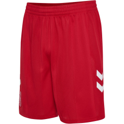hummel DBU Dänemark Heimshorts 2026 3365 - tango red S