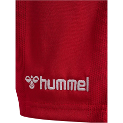 hummel DBU Dänemark Heimshorts 2026 3365 - tango red S