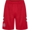 hummel DBU Dänemark Heimshorts 2026 3365 - tango red S