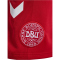 hummel DBU Dänemark Heimshorts 2026 3365 - tango red S