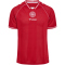 hummel DBU Dänemark Heimtrikot 2026 3365 - tango red S
