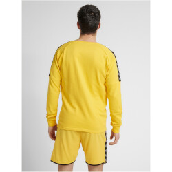 hummel Authentic Training Sweatshirt Herren sports yellow S