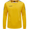 hummel Authentic Training Sweatshirt Herren sports yellow S