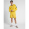 hummel Authentic Training Sweatshirt Herren sports yellow S