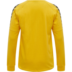 hummel Authentic Training Sweatshirt Herren sports yellow L