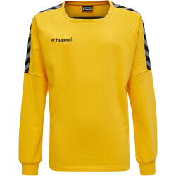 hummel Authentic Training Sweatshirt Kinder sports yellow 116