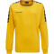 hummel Authentic Training Sweatshirt Kinder sports yellow 116