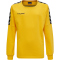 hummel Authentic Training Sweatshirt Kinder sports yellow 152