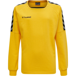 hummel Authentic Training Sweatshirt Kinder sports yellow 164
