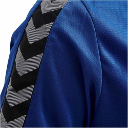 hummel Authentic Funktions-Poloshirt Herren true blue S