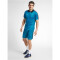 hummel Authentic Funktions-Poloshirt Herren celestial S