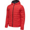 hummel hmlNORTH Kapuzen-Steppjacke true red S