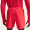 NIKE Stride Dri-FIT Laufshorts Herren 696 - lt crimson/reflective silv S